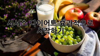 시서스 다이어트 효과적으로 시작하기