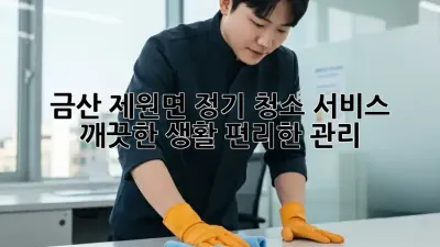 금산 제원면 정기 청소 서비스: 깨끗한 생활, 편리한 관리